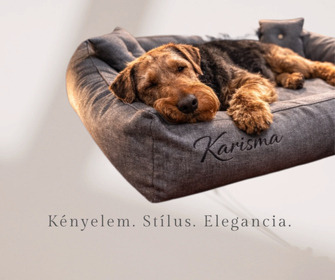 karisma.hu